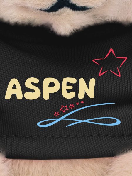Gift for Aspen