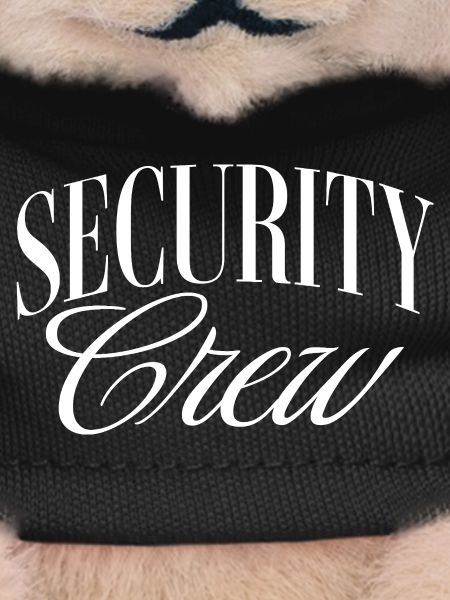 Équipe de sécurité