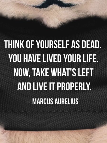 Marcus Aurelius Stoic Quote