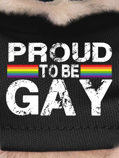 Proud To Be Gay