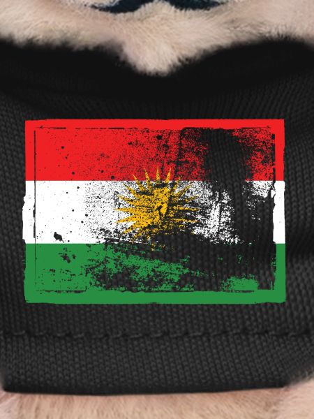 Kurds Kurdistan