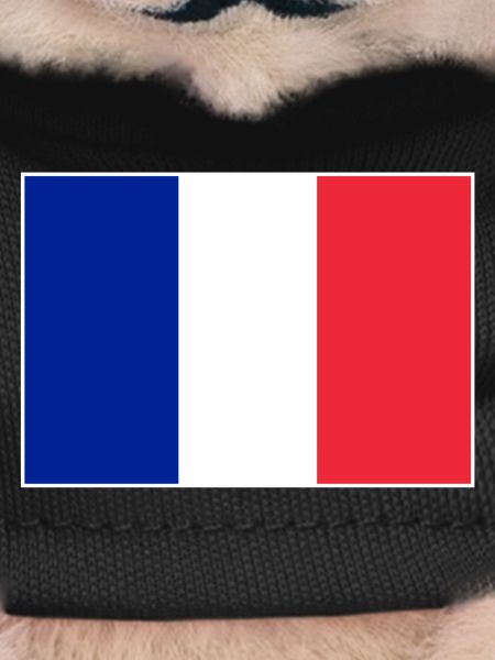 France flag