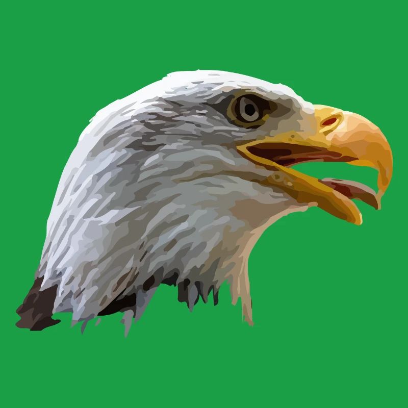 bald eagle