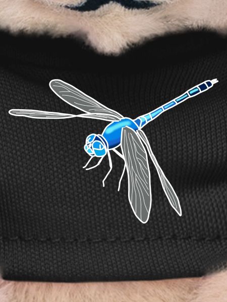 Libellule
