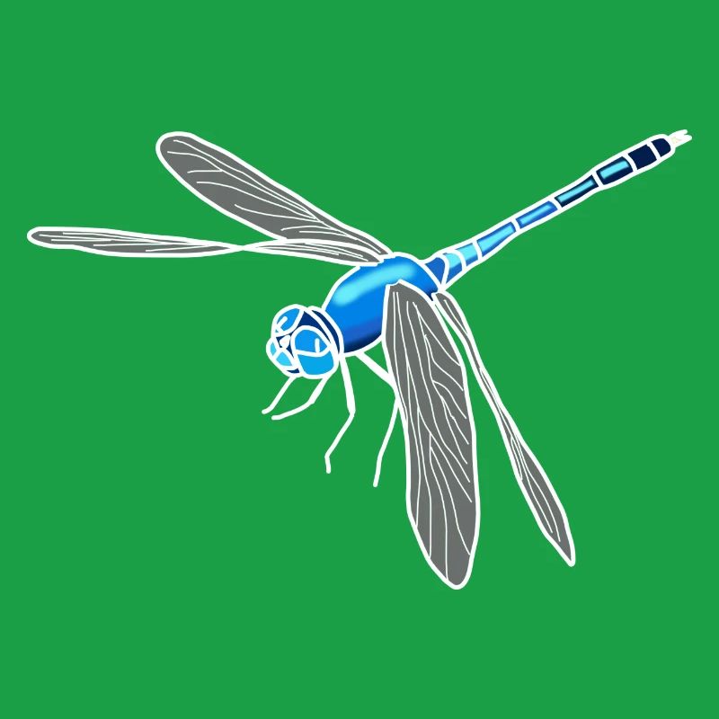 dragonfly