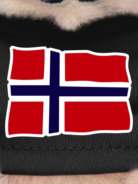 Norway Wavy flag Cross