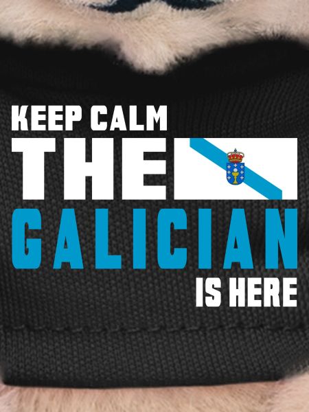 keep calm Galicia flags design