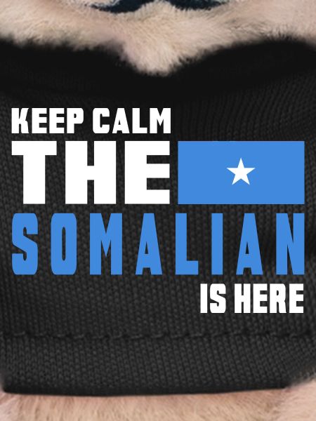 Keep calm Somalia flag design