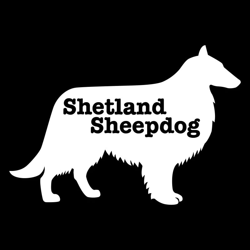 Shetland Sheepdog