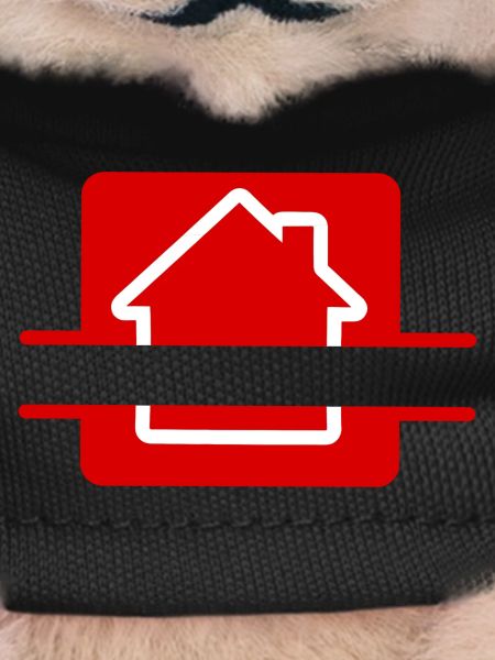 House red real estate agent