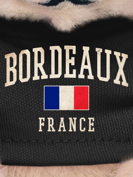 Bordeaux France