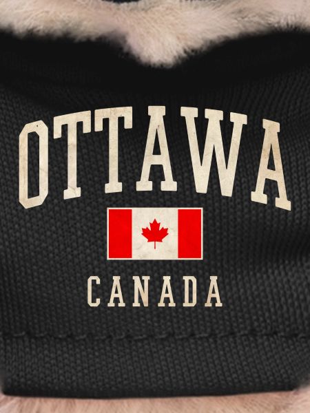 Ottawa Canada Flag Design