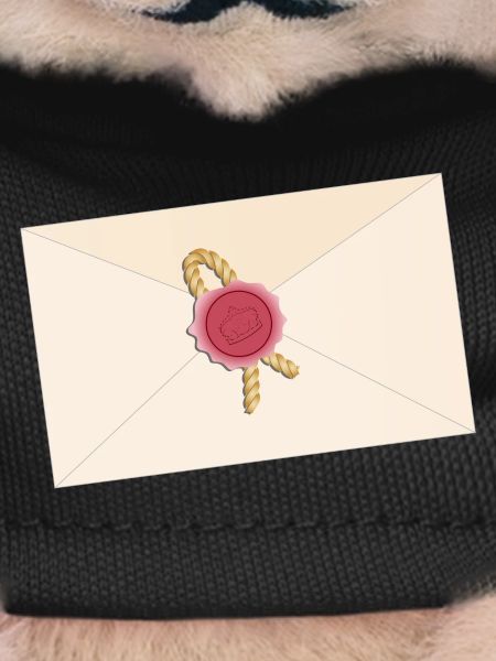 closed envelope with seal