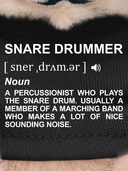 Drummer Definition