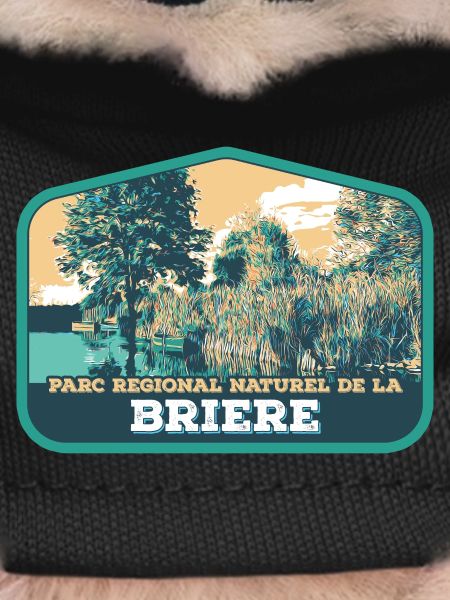 Brière Landscape Badge: Authentic Nature