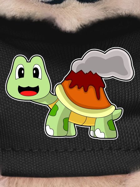 Turtle Volcano