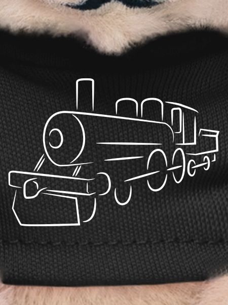 Steam locomotive