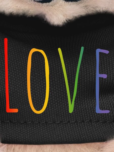 CSD LGBT Rainbow Love Design
