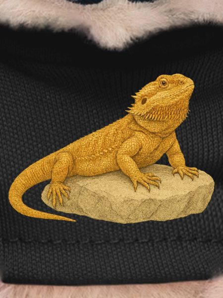 Yellow gecko on rocks