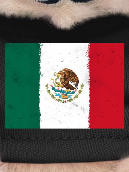 Flag of Mexico