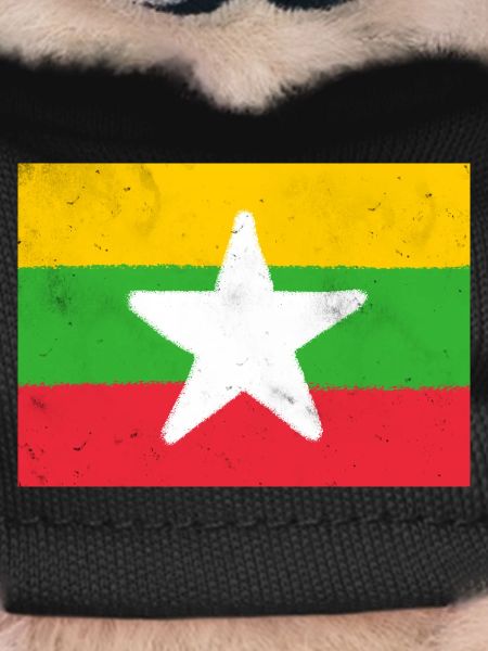Flag of Myanmar