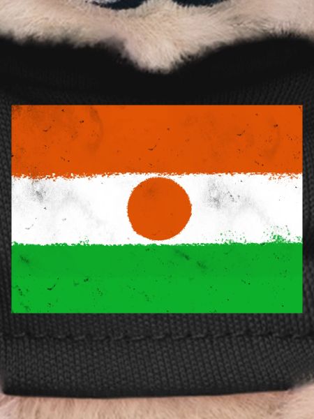 Flag of Niger