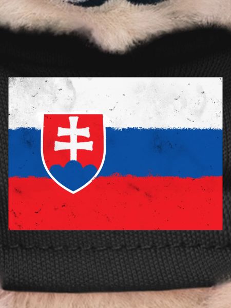 Flag of Slovakia