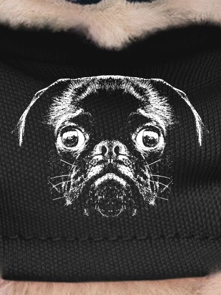 Pug / Face / Head