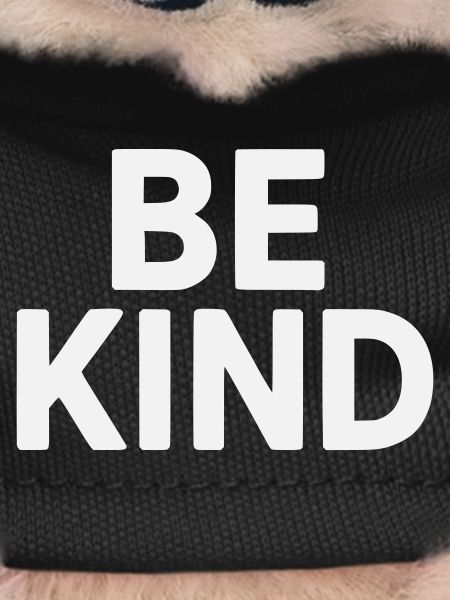Be kind slogan plain