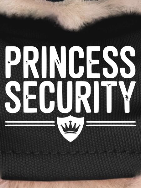 Princess Security