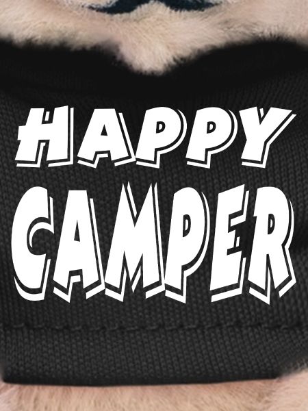 Campeur