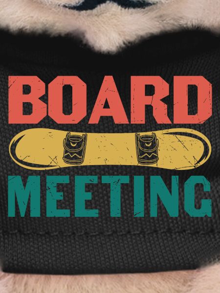 Conseil d’administration Snowboard