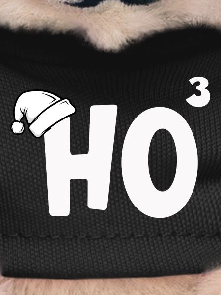 HO³ Christmas Formula
