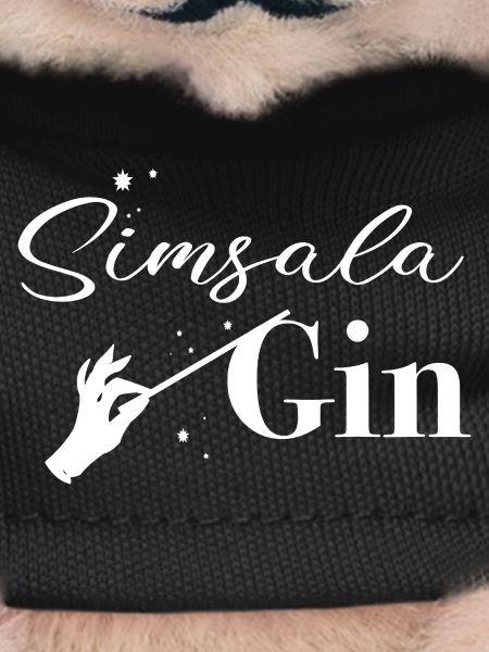 Simsala Gym Magic
