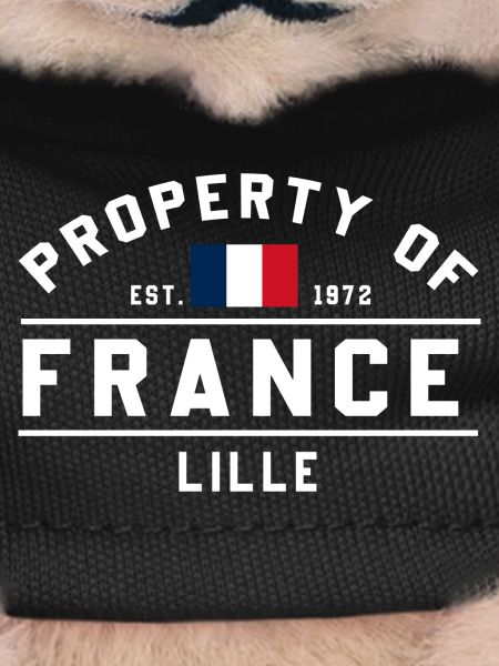 French Flag Small Design