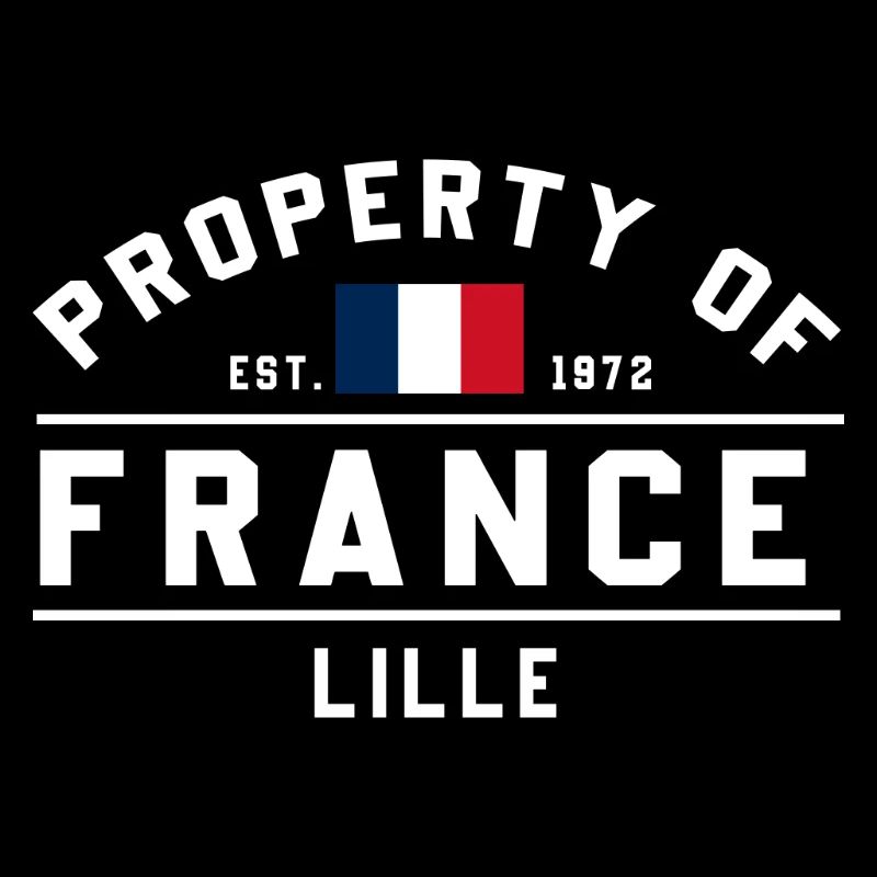 Drapeau français petit design
