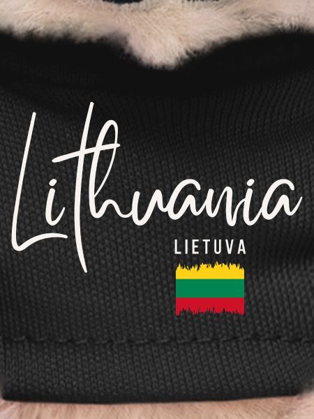 Lithuanian roots, flag of Lithuania
