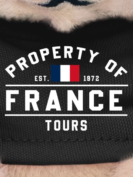 Circuits immobiliers français