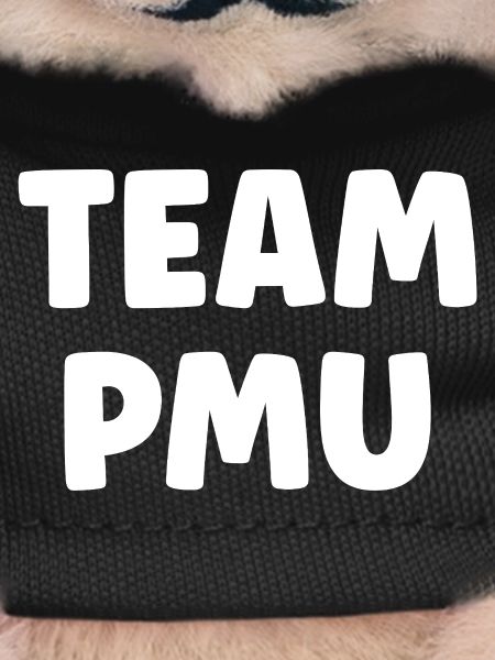 pmu