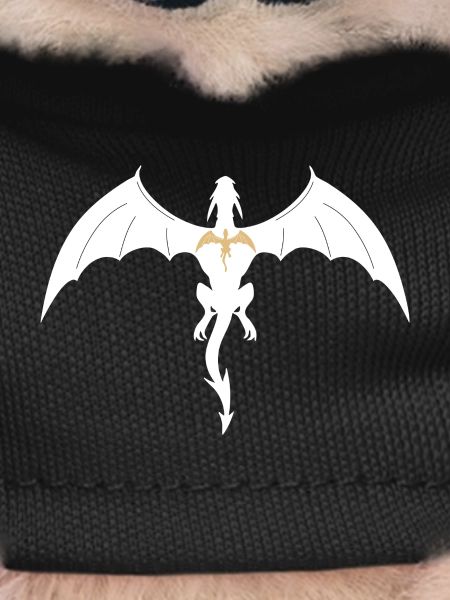 fourth wing dragon
