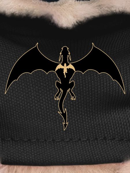 fourth wing dragon