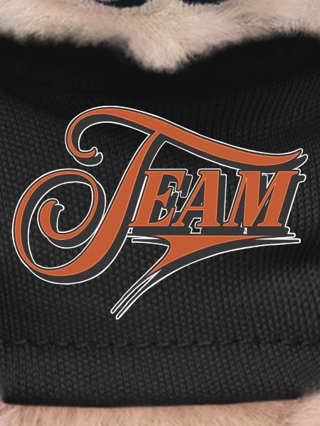 Team