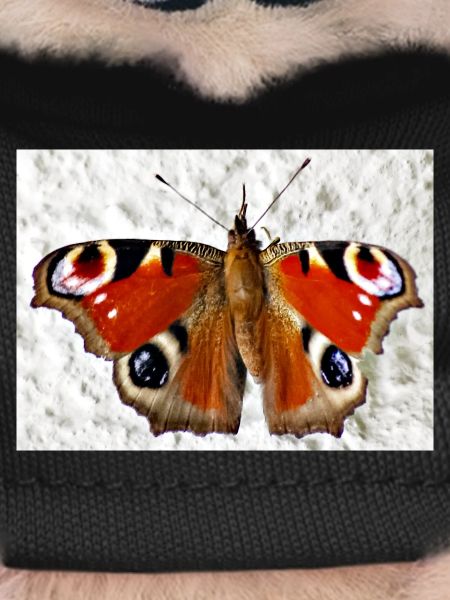 Peacock Eye Butterfly Pattern