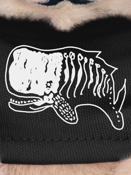Baleine
