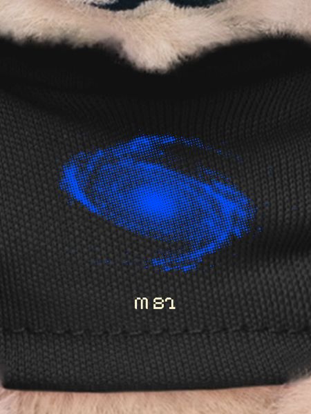 M81 - Bode's Galaxy