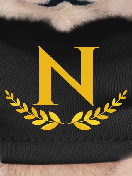 N