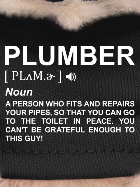 Plumber Definition