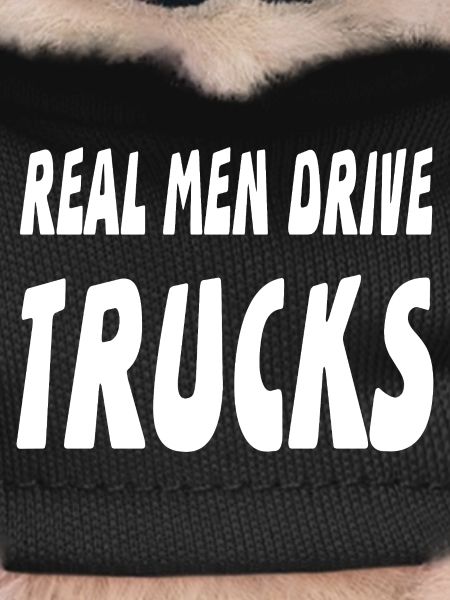 camion