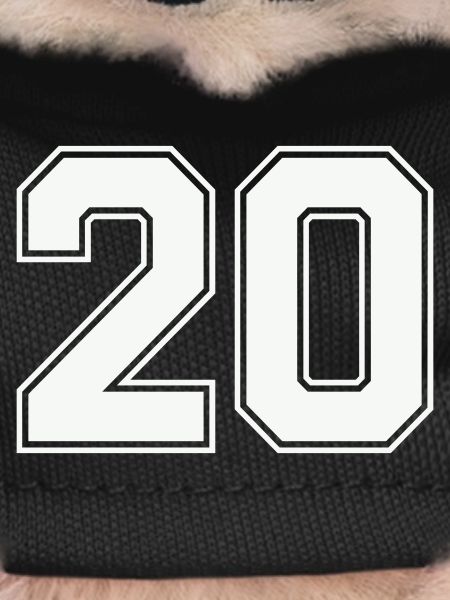 20-