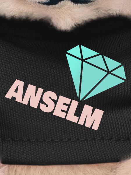 Diamant Anselm